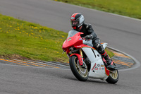 PJ-Motorsport-2019;anglesey-no-limits-trackday;anglesey-photographs;anglesey-trackday-photographs;enduro-digital-images;event-digital-images;eventdigitalimages;no-limits-trackdays;peter-wileman-photography;racing-digital-images;trac-mon;trackday-digital-images;trackday-photos;ty-croes
